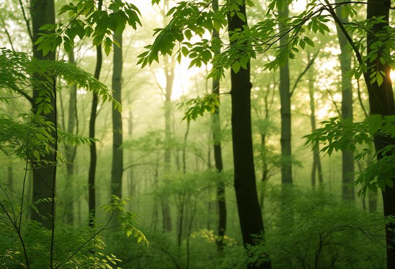 Burnout erkennen – Warnsignale und Wege aus der Erschöpfung